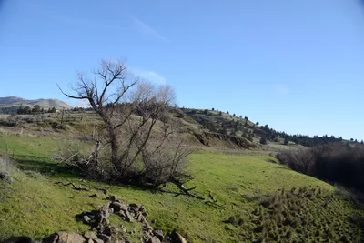 DSC_1072 (Large).JPG